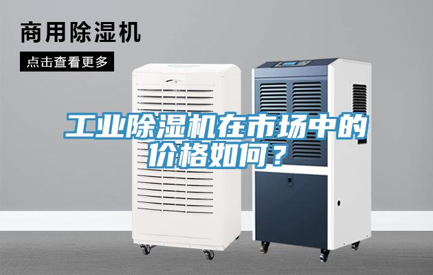 工業除濕機在市場中的價格如何？