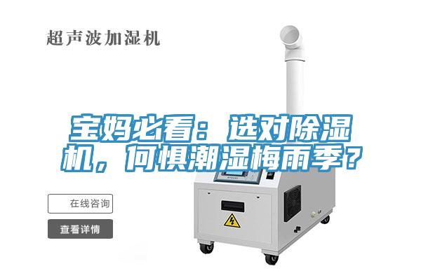 寶媽必看：選對除濕機，何懼潮濕梅雨季？