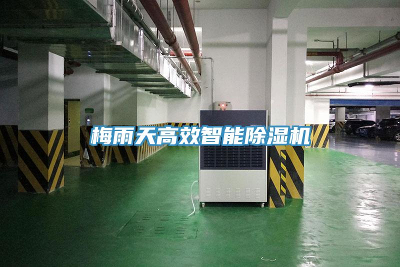 梅雨天高效智能除濕機