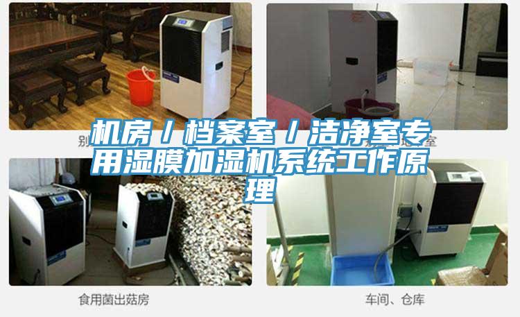 機房/檔案室/潔凈室專用濕膜加濕機系統工作原理