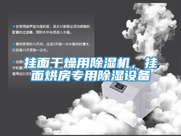 掛面干燥用除濕機，掛面烘房專用除濕設備