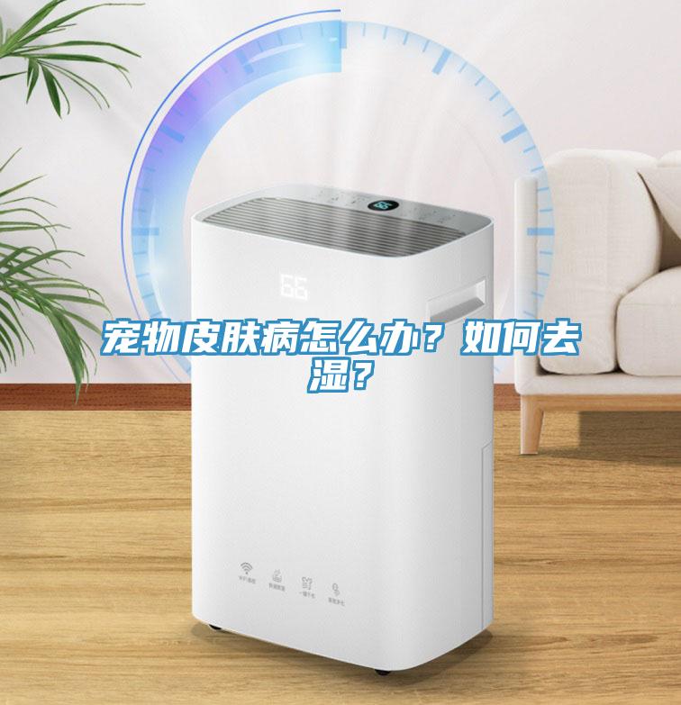 寵物皮膚病怎么辦？如何去濕？