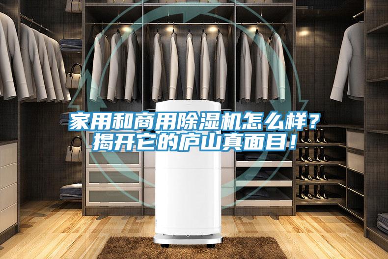 家用和商用除濕機(jī)怎么樣?揭開它的廬山真面目!