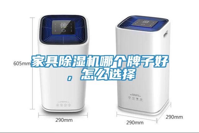 家具除濕機哪個牌子好，怎么選擇