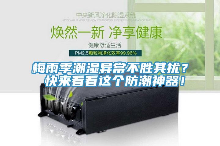 梅雨季潮濕異常不勝其擾？ 快來看看這個防潮神器！