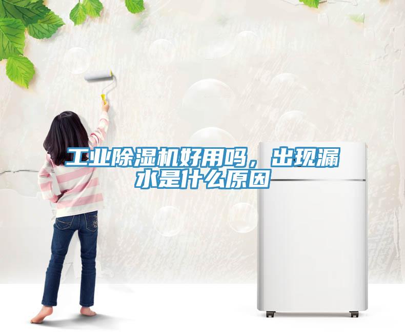 工業除濕機好用嗎，出現漏水是什么原因