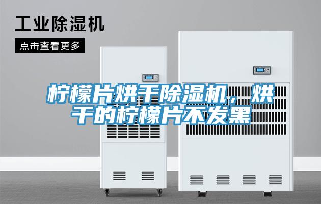 檸檬片烘干除濕機(jī)，烘干的檸檬片不發(fā)黑