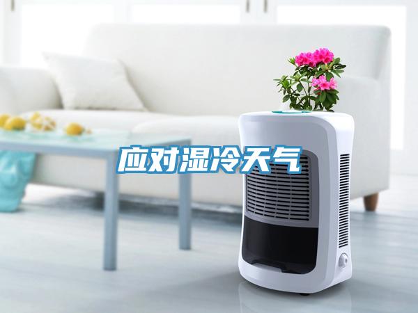 應對濕冷天氣