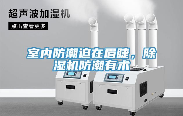 室內防潮迫在眉睫，除濕機防潮有術