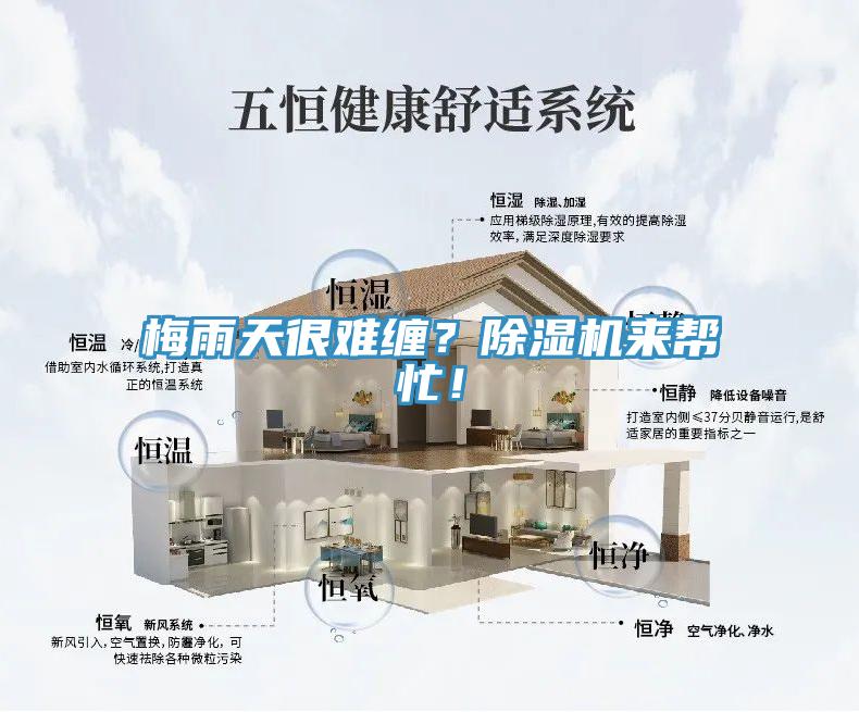 梅雨天很難纏？除濕機來幫忙！