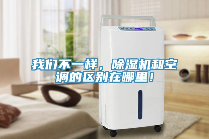 我們不一樣，除濕機和空調的區別在哪里！