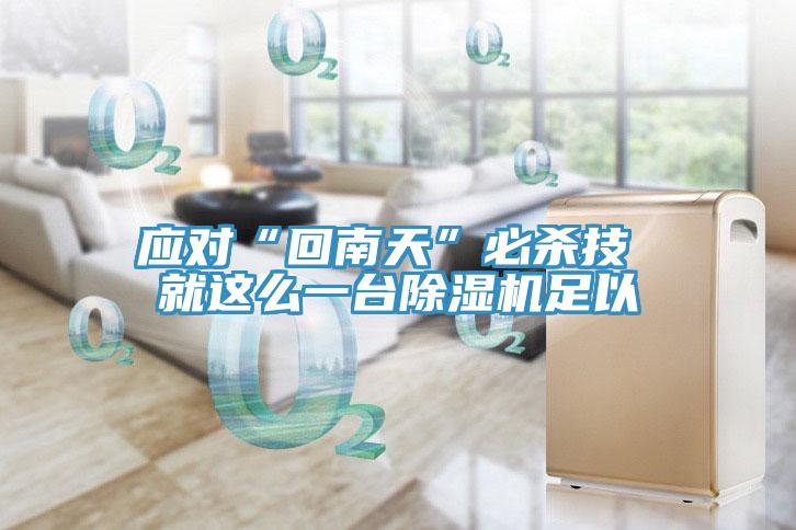 應(yīng)對“回南天”必殺技 就這么一臺除濕機足以