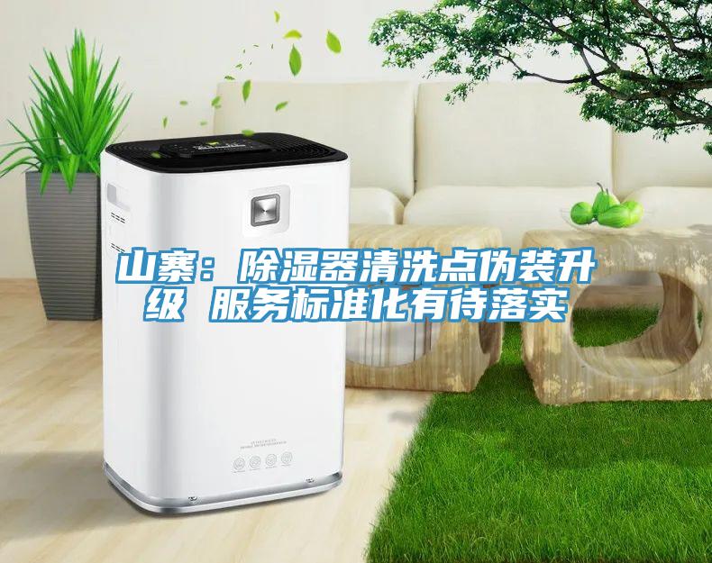 山寨：除濕器清洗點偽裝升級 服務標準化有待落實