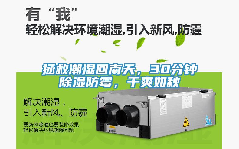 拯救潮濕回南天，30分鐘除濕防霉，干爽如秋