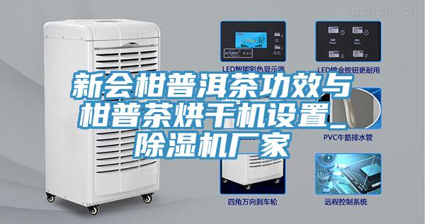 新會柑普洱茶功效與柑普茶烘干機設置_除濕機廠家