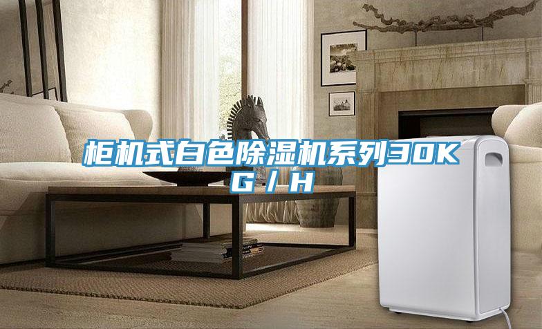 柜機式白色除濕機系列30KG／H
