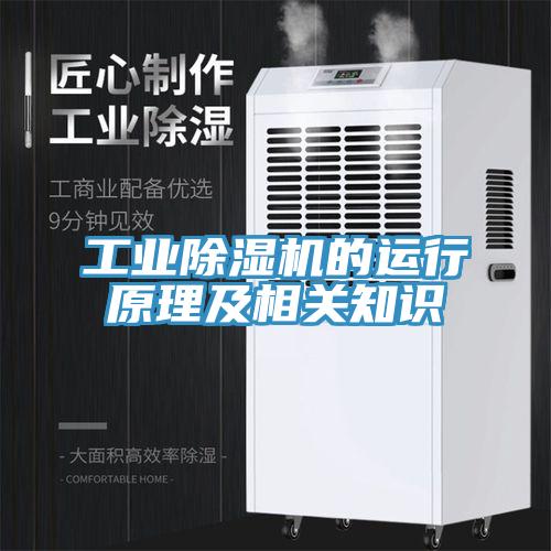 工業(yè)除濕機(jī)的運(yùn)行原理及相關(guān)知識(shí)