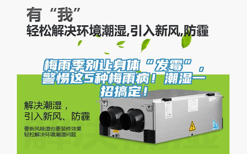 梅雨季別讓身體“發霉”,警惕這5種梅雨病!潮濕一招搞定!
