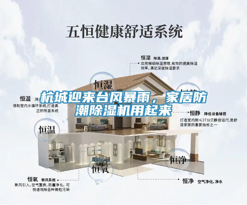 杭城迎來臺風暴雨,家居防潮除濕機用起來