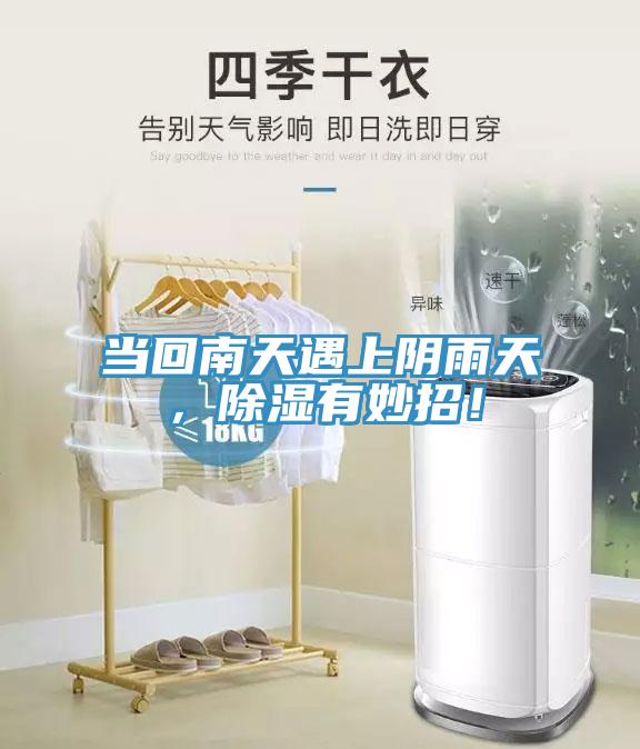 當回南天遇上陰雨天，除濕有妙招！