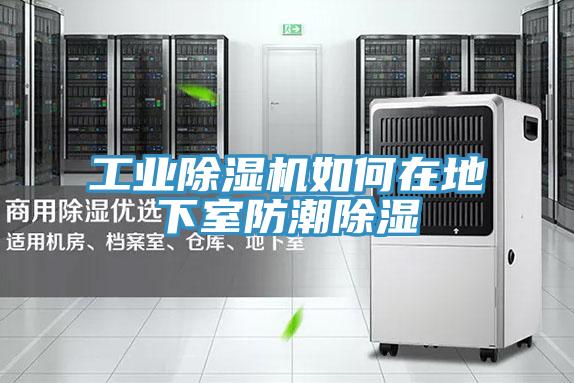 工業(yè)除濕機(jī)如何在地下室防潮除濕