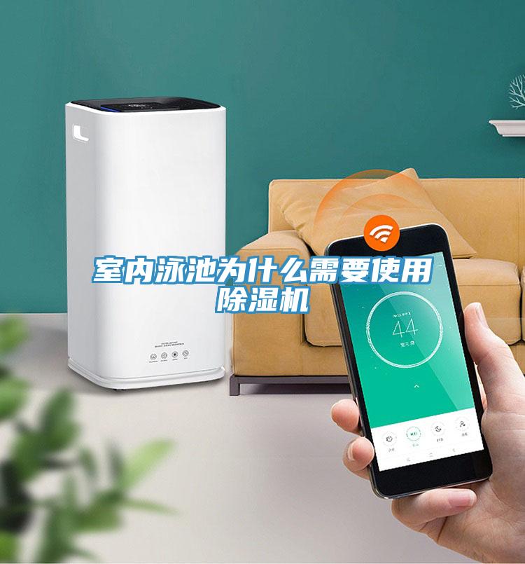 室內(nèi)泳池為什么需要使用除濕機