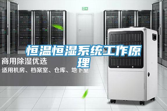 恒溫恒濕系統(tǒng)工作原理