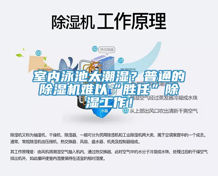 室內(nèi)泳池太潮濕？普通的除濕機難以“勝任”除濕工作！