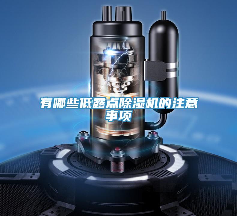 有哪些低露點(diǎn)除濕機(jī)的注意事項