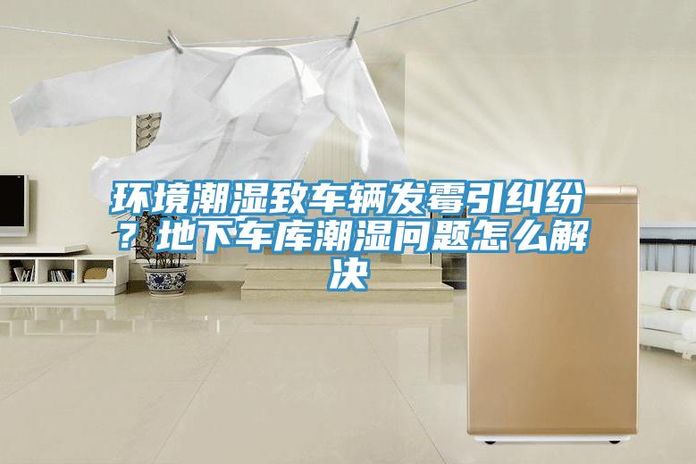 環(huán)境潮濕致車輛發(fā)霉引糾紛?地下車庫潮濕問題怎么解決