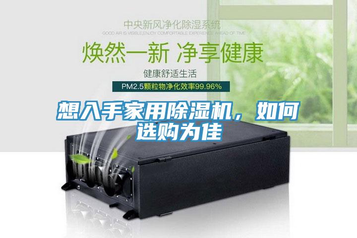 想入手家用除濕機,如何選購為佳