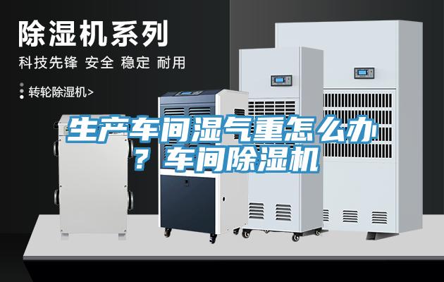生產車間濕氣重怎么辦?車間除濕機