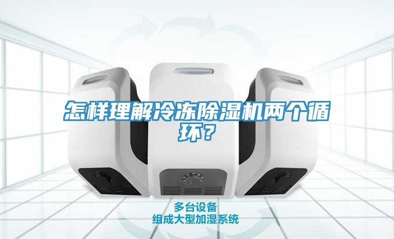 怎樣理解冷凍除濕機兩個循環？