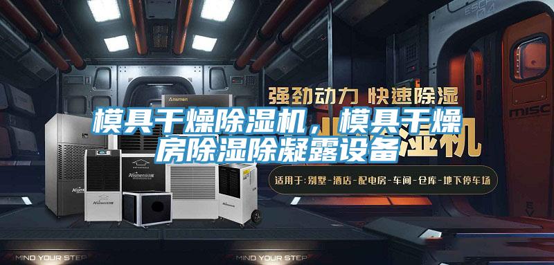 模具干燥除濕機，模具干燥房除濕除凝露設備
