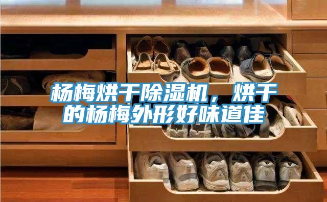 楊梅烘干除濕機(jī)，烘干的楊梅外形好味道佳
