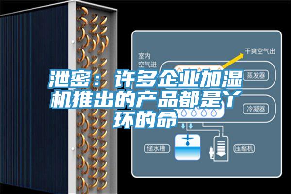 泄密:許多企業(yè)加濕機(jī)推出的產(chǎn)品都是丫環(huán)的命