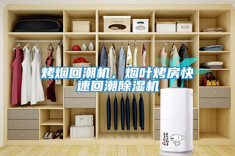 烤煙回潮機,煙葉烤房快速回潮除濕機