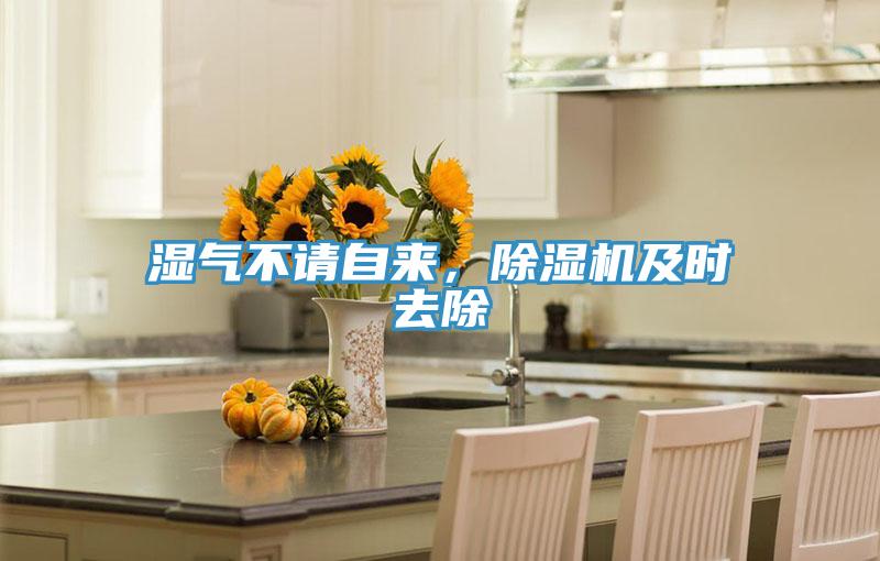 濕氣不請(qǐng)自來，除濕機(jī)及時(shí)去除