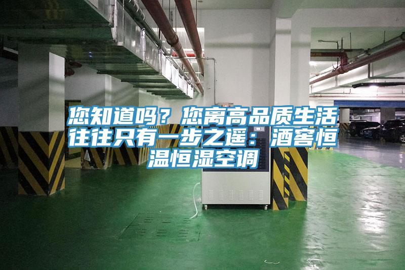 您知道嗎?您離高品質生活往往只有一步之遙:酒窖恒溫恒濕空調