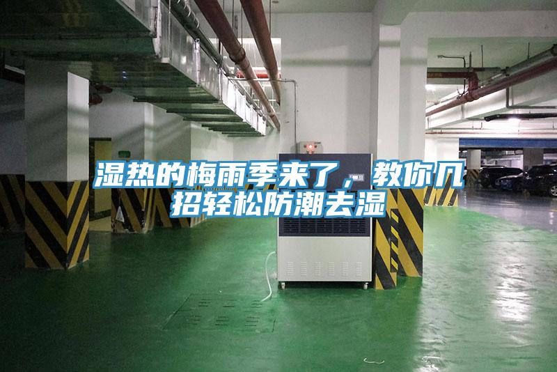 濕熱的梅雨季來了,教你幾招輕松防潮去濕