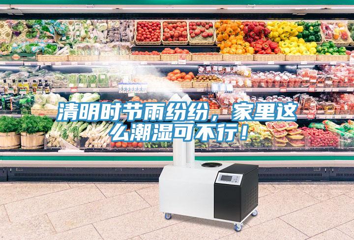 清明時節(jié)雨紛紛，家里這么潮濕可不行！