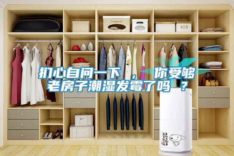 捫心自問一下 ， 你受夠老房子潮濕發霉了嗎 ？