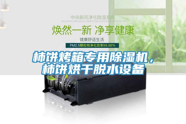 柿餅烤箱專(zhuān)用除濕機(jī)，柿餅烘干脫水設(shè)備