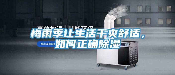 梅雨季讓生活干爽舒適，如何正確除濕