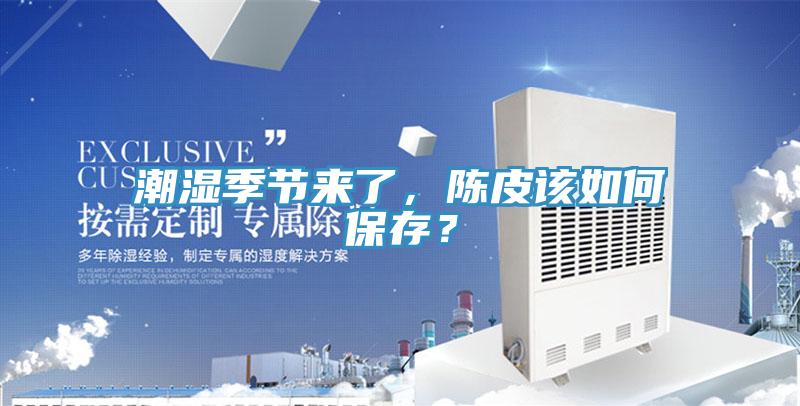 潮濕季節來了，陳皮該如何保存？