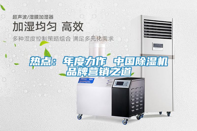 熱點：年度力作 中國除濕機品牌營銷之道