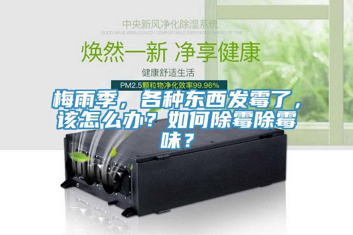 梅雨季，各種東西發霉了，該怎么辦？如何除霉除霉味？