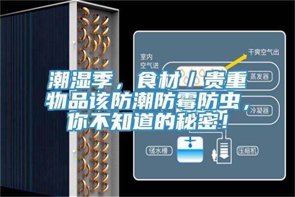 潮濕季，食材／貴重物品該防潮防霉防蟲，你不知道的秘密！