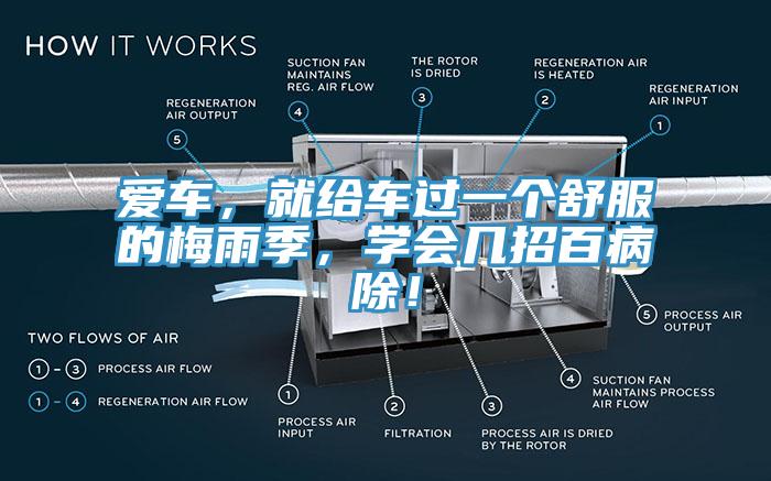愛車，就給車過一個舒服的梅雨季，學會幾招百病除！