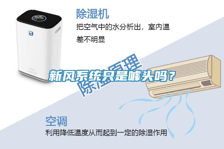 新風系統只是噱頭嗎？